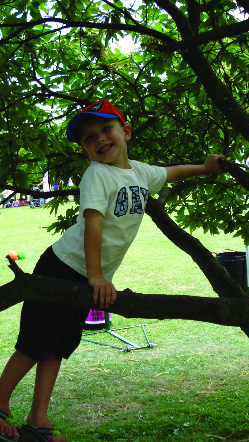 Riley climbing a tree
