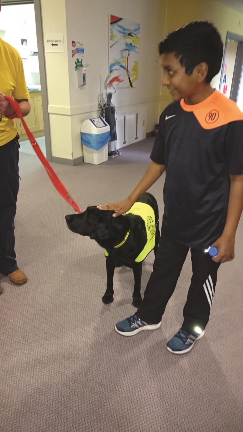 Velstrin with the PAT dog at The Children's Trust