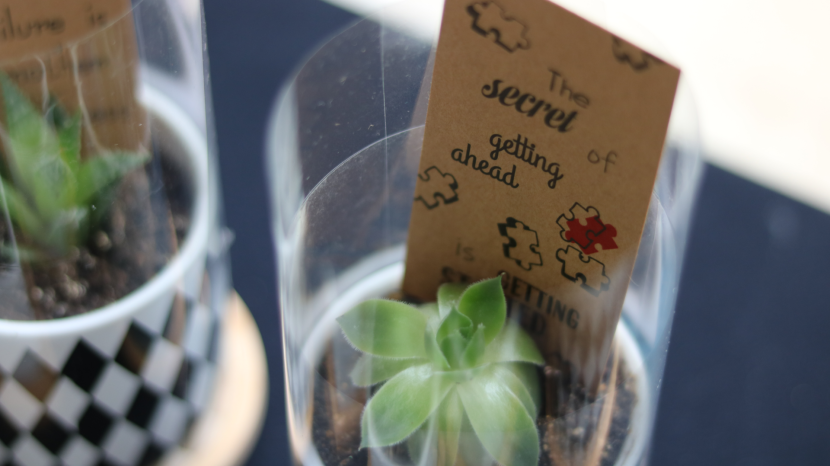 Plant in a ceramic vase with gift card saying 'The secret of getting ahead'