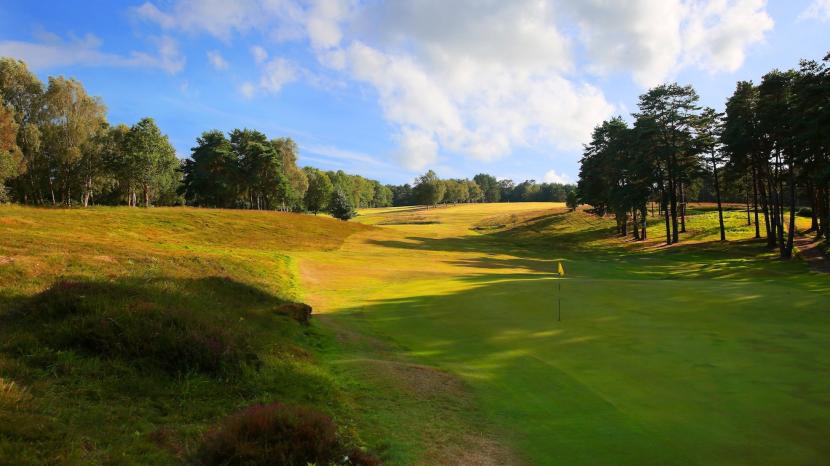 Royal Ashdown Forest Golf Club